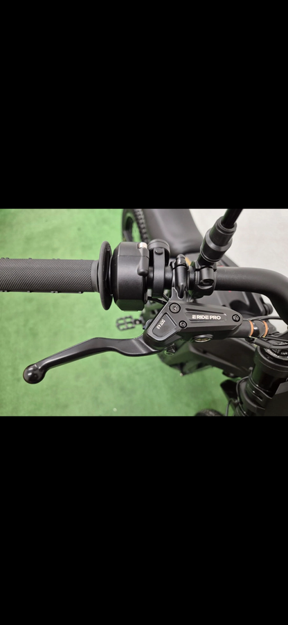 E-ride pro SE