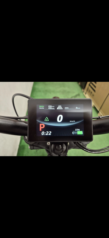 E-ride pro SE