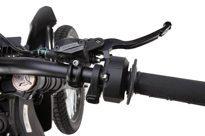 E RIDE PRO SS 3.0 L1e